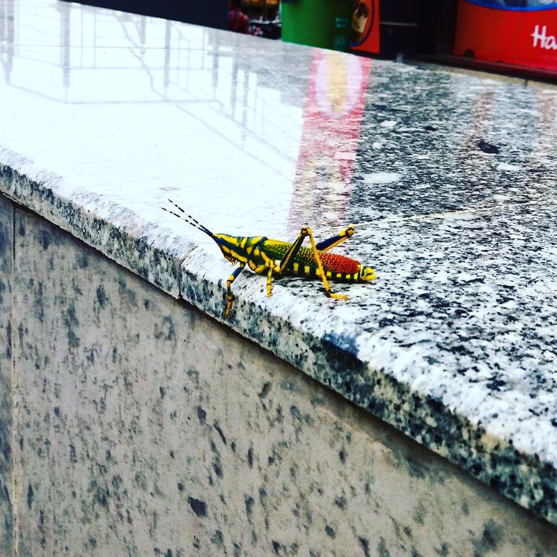 Sala de espera de AlergoBajío León